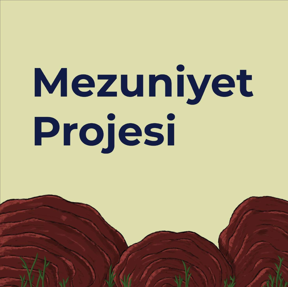 Reishi & Ağaç Mantarları